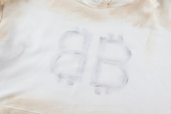 ブランドパーカー側面デザイン